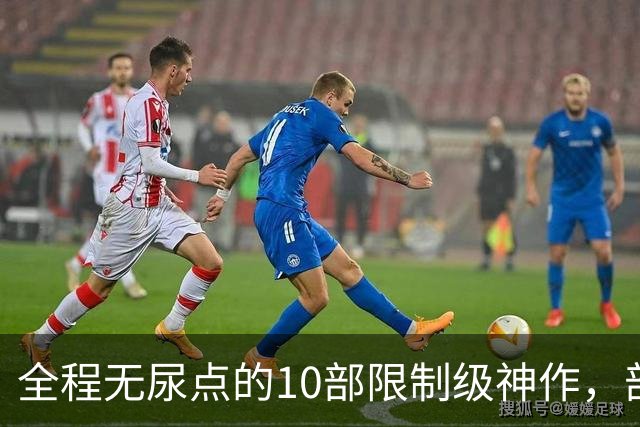 全程无尿点的10部限制级神作，部部大尺度，看完直接刷新认知